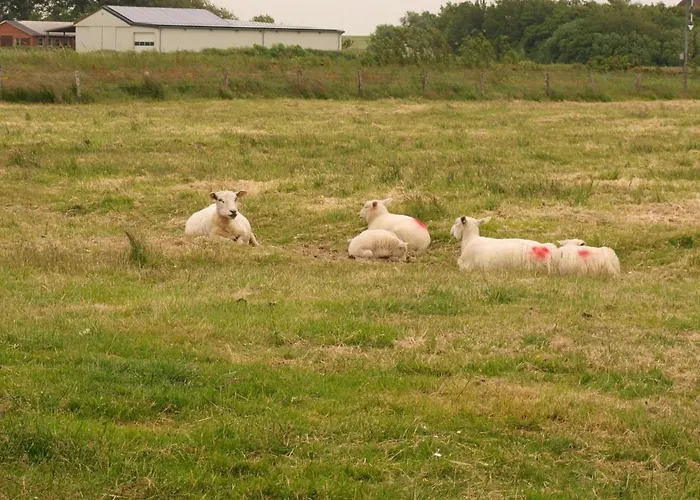 Neuwarft, 1 Dagebüll